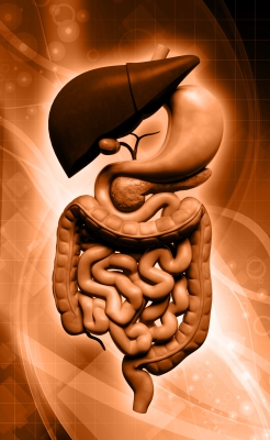 GI Tract